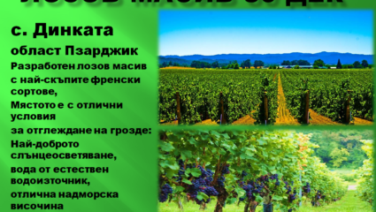 лозов МАСИВ 78 декара обл. ПАЗАРДЖИК с. Динката - REAL ESTATE in ...