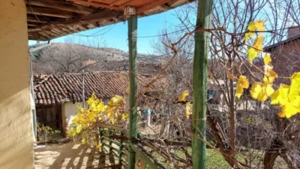 село Борика – VersaiEstate