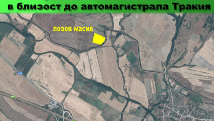 лозов МАСИВ 78 декара обл. ПАЗАРДЖИК с. Динката - REAL ESTATE in ...