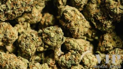 Полицията щурмува къща в село Българчево, откриха 3 палатки ...