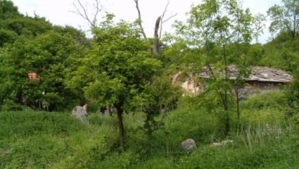 Маломаловски манастир 