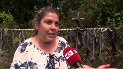 Местно време в българските общини - Острово и с. Дряновец, област ...