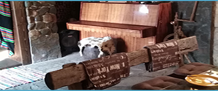 ᐉ Механа в къща за гости от Нова Черна | Камина в къща за гости ...