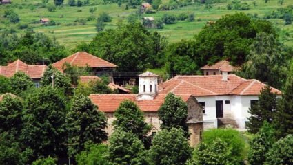 Област Монтана - Sabori.bg