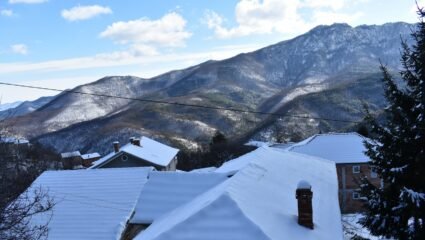 с. Орешец | Община Асеновград