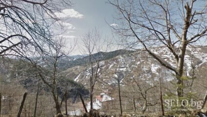 село Изгрев Област Смолян, Община Неделино | Selo.BG