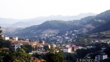 Област Кърджали - Sabori.bg