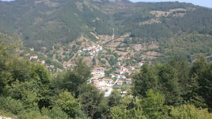 ОБЩИНА СМОЛЯН :: НАСЕЛЕНИ МЕСТА :: ПОДВИС