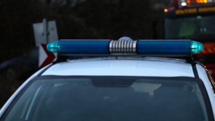 Разследват убийство на куче в село Горно Козарево – Новини Търговище