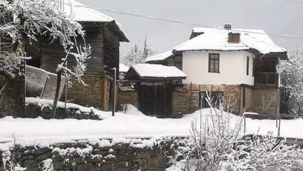 село Райковци