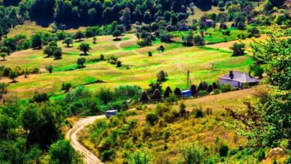 Село Брестово - NaSelo.net - в подкрепа на българското село