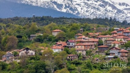 село Камена Област Благоевград, Община Петрич | Selo.BG