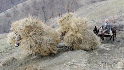 село Долно Осеново Област Благоевград, Община Симитли | Selo.BG