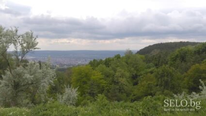 село Каменар Област Варна, Община Варна | Selo.BG