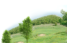 Устройство на територията, инфраструктура и екология | Община Габрово