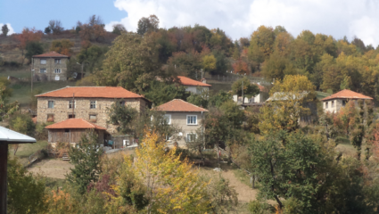 ОБЩИНА СМОЛЯН :: НАСЕЛЕНИ МЕСТА :: ЗМИЕВО