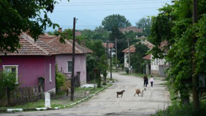 Фотогалерия: Монтански села след евроизборите