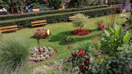 Паркът на с. Спанчевци, община Вършец. БЪЛГАРИЯ | мРепортер