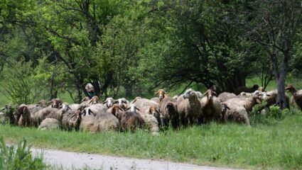 Стартират информационни срещи по селата в Хасковска област ...