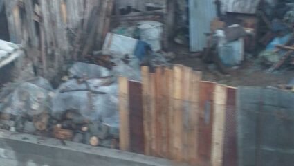 Съседите ми от село Нова Махала, област Пазарджик - NOVA