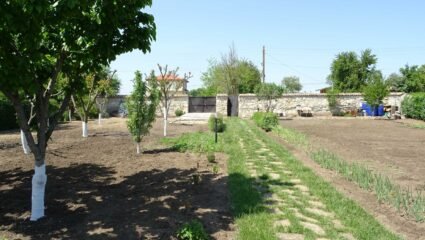 Едноетажна къща с.Котленци, община Добрич ✓️ 24 м² ✓️ Виж ...