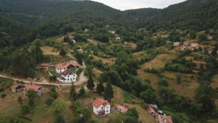 Село Босилково | Опознай.bg