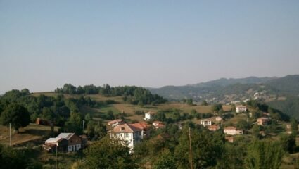 с. Бориново