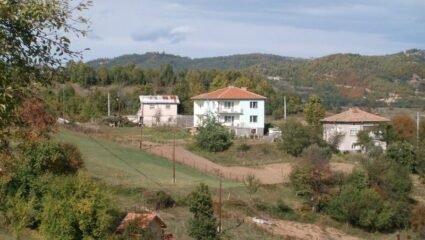 с. Бориново