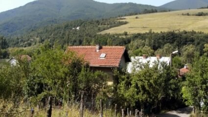 село Дивля - Земен