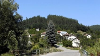 село Дивля - Земен