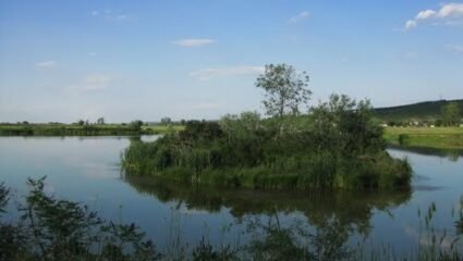 с. Биволаре