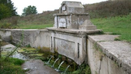 с. Ракитница