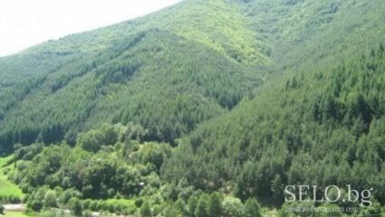 село Оряховец Област Смолян, Община Баните | Selo.BG