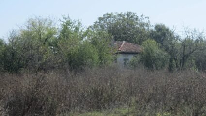 Едноетажна къща в с. Тръстиково, община Камено Едноетажна къща 100 ...