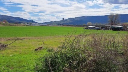 Парцел за продажба в село Чучулигово, Община Петрич Продажба 1145 ...