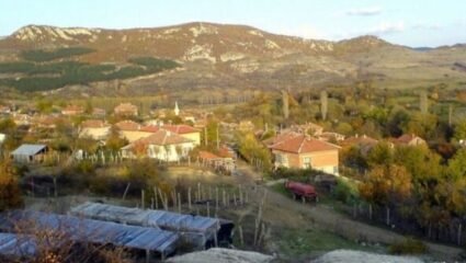 Начало - VillageLife