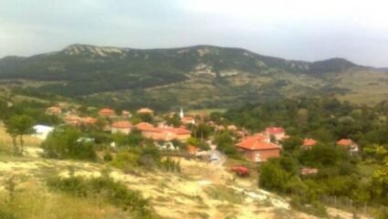 Начало - VillageLife