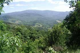 Справочник България *** - Село Блъсковци