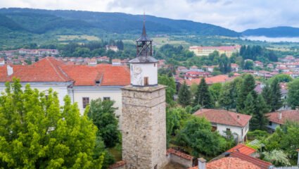 Община Елена и община Меджидия – Арт Елена