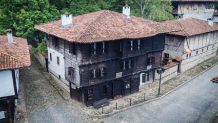 Община Елена и община Меджидия – Арт Елена