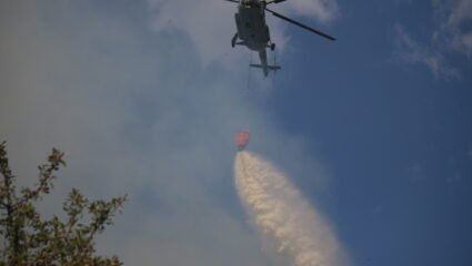 Пожарът между селата Дервишка могила и Студена, Свиленградско, се ...