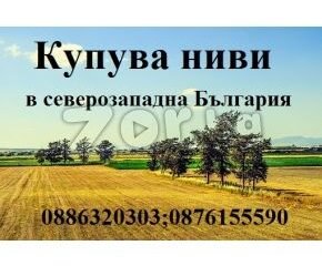 Високи цени на земя в обл. Монтана | Монтана - обява 301545