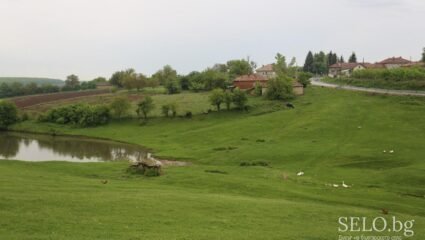 село Осеновец Област Шумен, Община Венец | Selo.BG