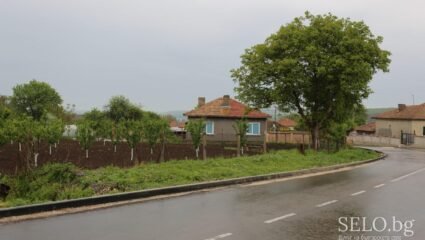 село Осеновец Област Шумен, Община Венец | Selo.BG