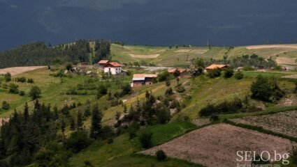 село Бунцево Област Благоевград, Община Якоруда | Selo.BG