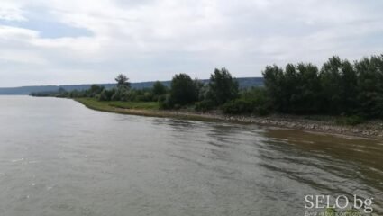 село Долни Цибър Област Монтана, Община Вълчедръм | Selo.BG