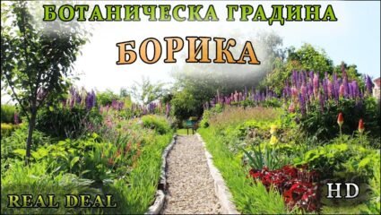 Ботаническа градина - Община Ихтиман, София - YouTube