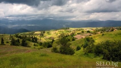 село Бунцево Област Благоевград, Община Якоруда | Selo.BG