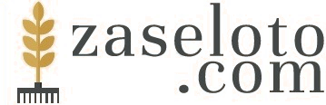 zaseloto.com