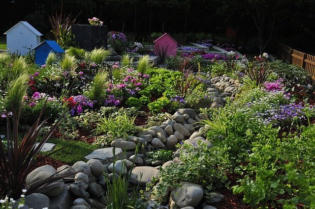 цветя за двора